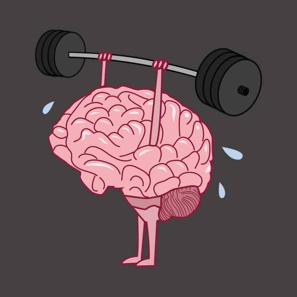 How to Build a Strong Mind Muscle Connection