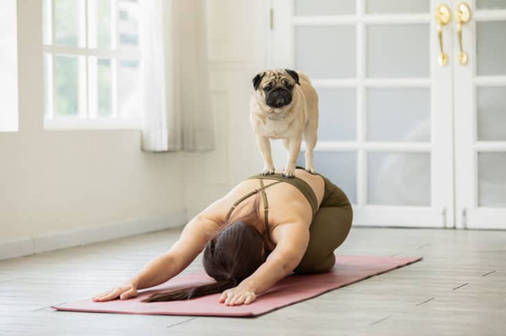10 Activities to Do with Your Pet to Get Your Heart Pumping